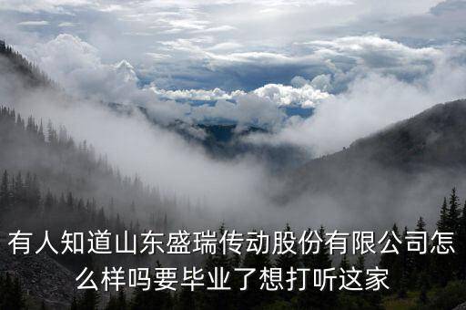 盛瑞企業(yè)是干什么的，南京銳盛互聯(lián)網(wǎng)科技有限公司主要是做什么的