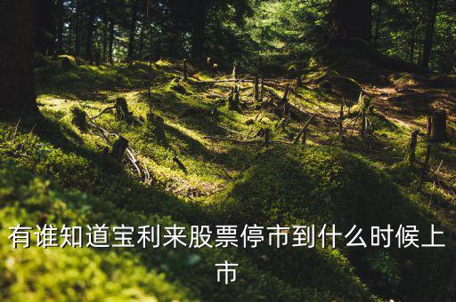 寶利來(lái)什么時(shí)候成為st股的，正常的股票變成st的具體時(shí)間