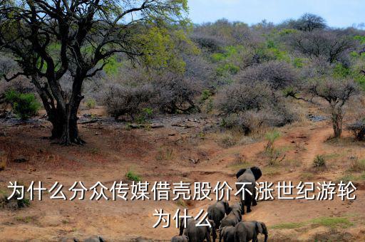 為什么分眾傳媒借殼股價不漲世紀(jì)游輪為什么