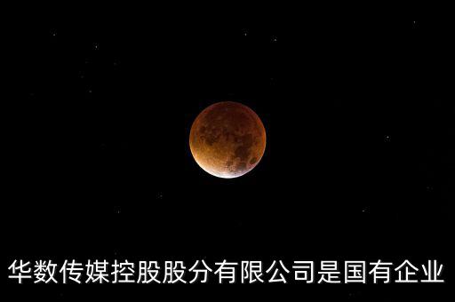 華數(shù)傳媒控股股分有限公司是國有企業(yè)
