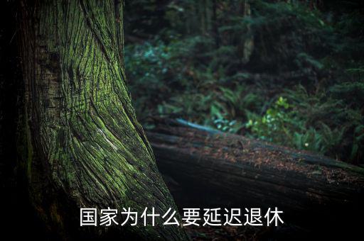 為什么要延遲退休，為什么要推遲退休年齡