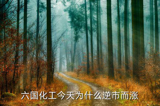 六國(guó)化工有什么概念，六國(guó)化工和六國(guó)化肥是一個(gè)意思嗎