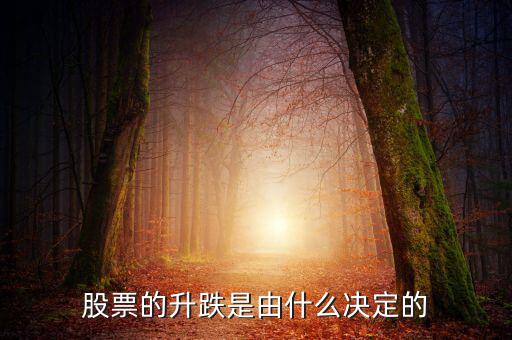 股票根據(jù)什么跌升，股票的升跌是由什么決定的
