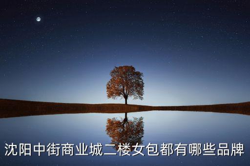 中街商業(yè)城都有什么品牌，沈陽中街商業(yè)城二樓女包都有哪些品牌