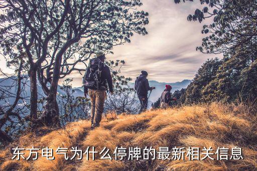 中國為什么退出蘇聯(lián)東方集團，東方集團為什么停盤