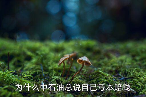 中石油為什么虧損，中石油為什么虧損慘重