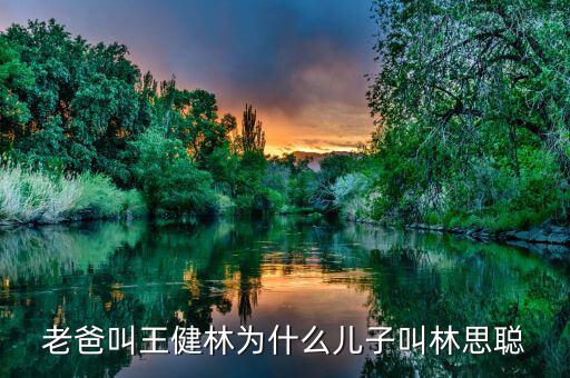 王健林和王思聰是什么關(guān)系，老爸叫王健林為什么兒子叫林思聰