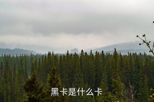 銀行卡黑卡是什么級(jí)別，黑卡是什么卡