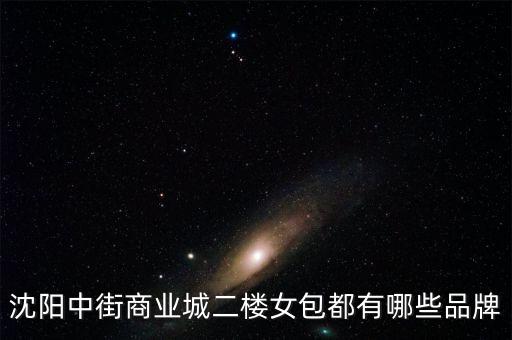 沈陽(yáng)中街商業(yè)城二樓女包都有哪些品牌