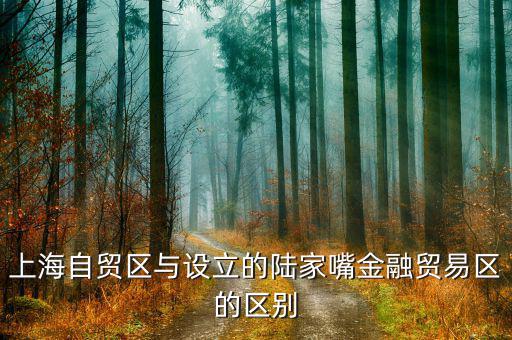 陸家嘴金融貿(mào)易區(qū)有什么，上海自貿(mào)區(qū)與設(shè)立的陸家嘴金融貿(mào)易區(qū)的區(qū)別