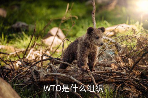 ypg是什么組織，橘子是由哪些組織構(gòu)成的