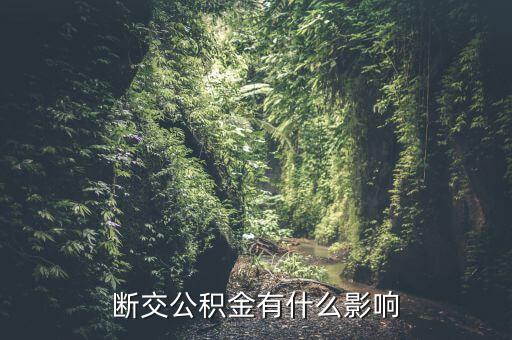 公積金斷了有什么影響，停繳公積金有什么影響