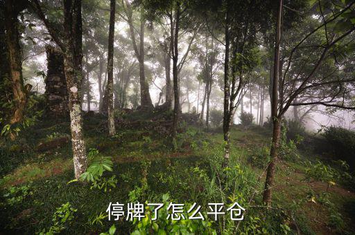 股票黑名單什么意思，股票配售黑名單是什么意思