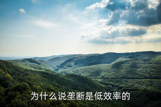 壟斷的無效率是什么，為什么說壟斷會導致低效率