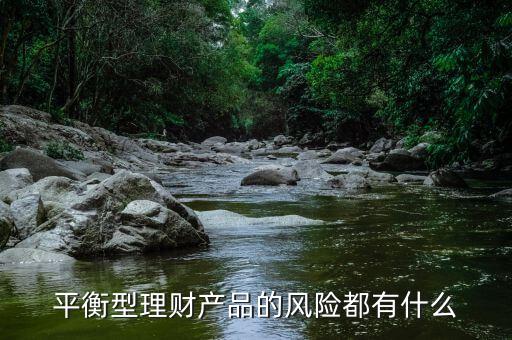 理才客戶風險平衡型是什么意思，平安銀行評估平衡型是什么意思