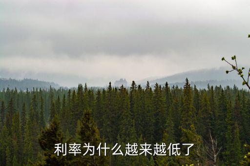 利率為什么越來越低了