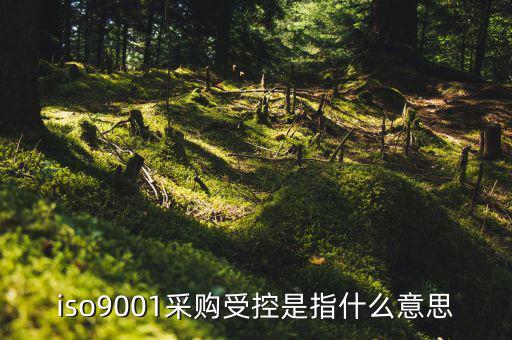 采購(gòu)流程的雙控體系是什么意思，iso9001采購(gòu)受控是指什么意思