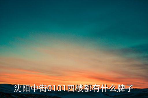 沈陽(yáng)中街0101四樓都有什么牌子