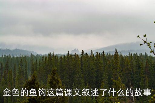 金這篇課文是一篇什么文，金子這篇課文使我們懂得了什么道理