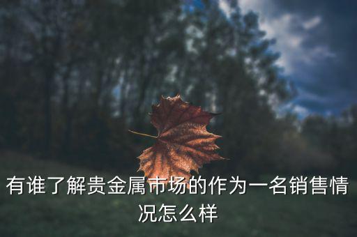 貴金屬公司為什么泛濫，有誰(shuí)了解貴金屬市場(chǎng)的作為一名銷售情況怎么樣