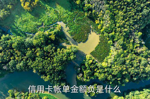 深圳發(fā)展銀行信用卡負金額是什么意思，信用卡帳單金額負是什么