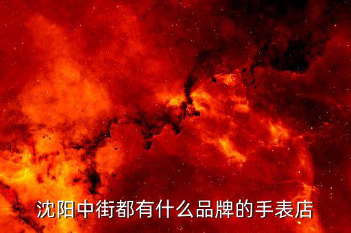 沈陽(yáng)中街都有什么品牌的手表店