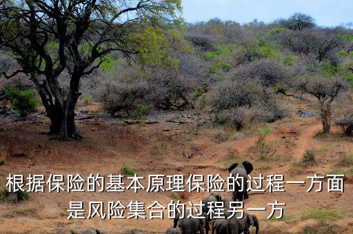 根據(jù)保險(xiǎn)的基本原理保險(xiǎn)的過(guò)程一方面是風(fēng)險(xiǎn)集合的過(guò)程另一方