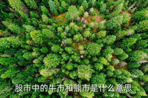 熊市的意思是什么，股市中的牛市和熊市是什么意思