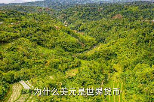 美元為什么是世界貨幣，為什么美元是世界貨幣