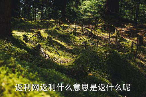 返傭網是什么意思，返傭網大概是什么意思