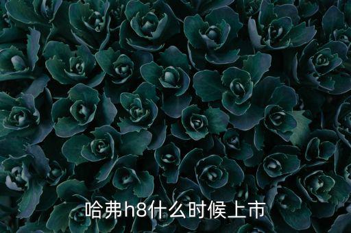 哈佛h8什么時(shí)候上市的，哈弗h8什么時(shí)候上市