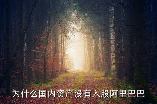 當(dāng)初為什么沒投阿里巴巴，為什么國內(nèi)資產(chǎn)沒有入股阿里巴巴