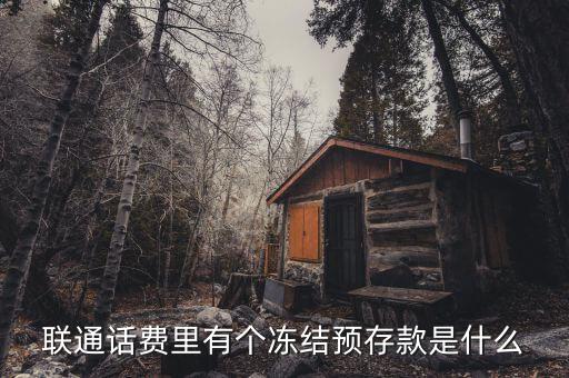 凍結(jié)預(yù)存款是什么意思，聯(lián)通話費里有個凍結(jié)預(yù)存款是什么