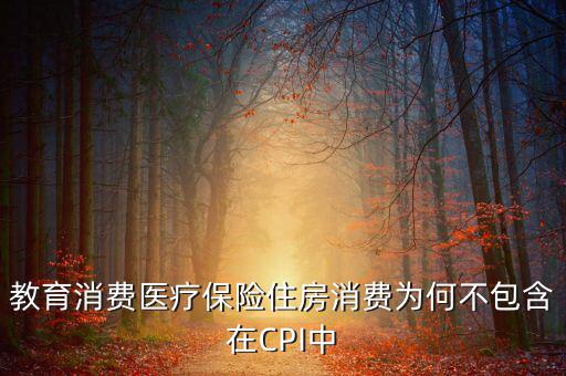 房價(jià)為什么不納入cpi，為什么在中國房價(jià)不算入CPI消費(fèi)水平也就是物價(jià)里面