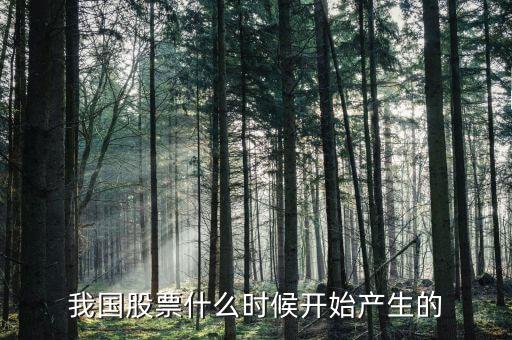股票什么時(shí)候出來(lái)的，股票是什么時(shí)候出現(xiàn)的從世界范圍看
