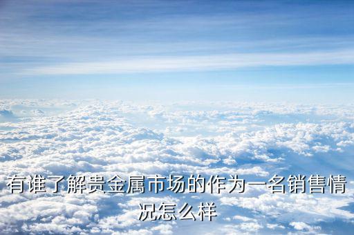 有誰了解貴金屬市場(chǎng)的作為一名銷售情況怎么樣