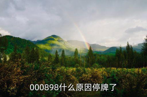華資實業(yè)為什么停牌，000009今天為何停牌