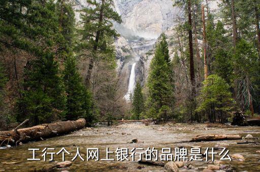 工行電子銀行核心品牌是什么，工行個(gè)人網(wǎng)上銀行的品牌是什么