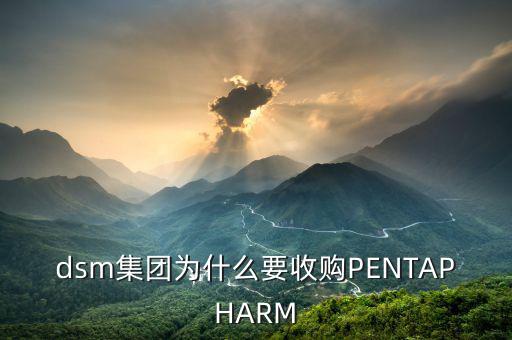 喜游國(guó)際被什么公司并購(gòu)，DSM據(jù)說收購(gòu)了一個(gè)特牛的公司是什么大家有知道的嗎
