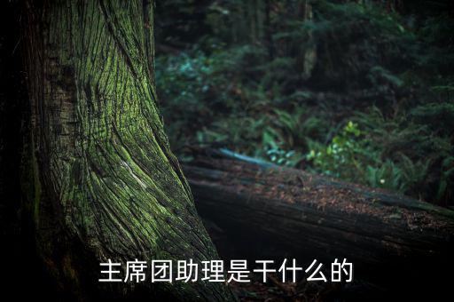 主席團助理做什么，主席團助理是干什么的