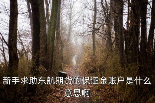金保證財富管理和東航什么關系，國鼎旗下的可溯貸資金安全嗎