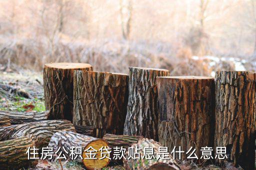 政采貸什么意思，住房公積金貸款貼息是什么意思