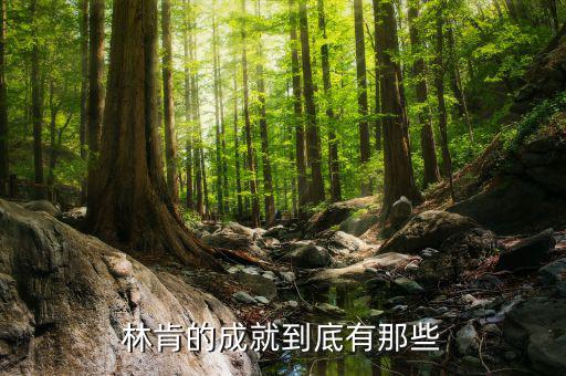 林肯的業(yè)績有什么，華盛頓林肯共同歷史功績