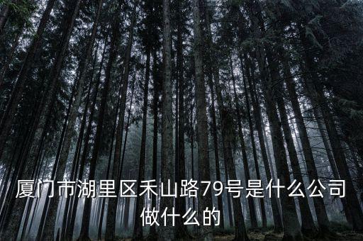 廈門市湖里區(qū)禾山路79號(hào)是什么公司做什么的