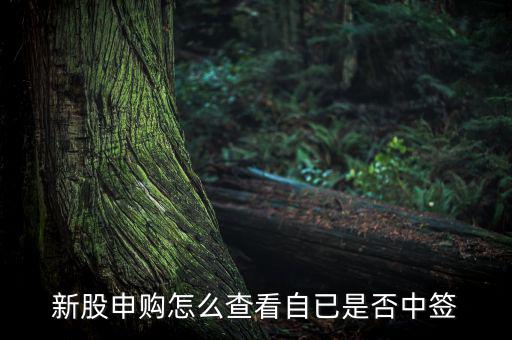 新股申購(gòu)怎么查看自已是否中簽