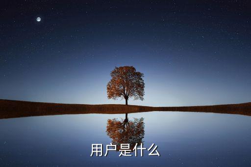 百發(fā)碼用戶是什么，用戶是什么