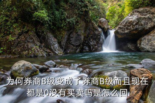 券商B級為什么賣不掉，證券b級怎么沒有交易