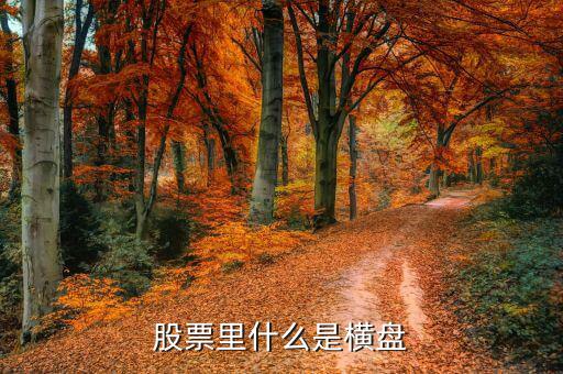 橫盤調(diào)整什么意思，股民們說(shuō)的建倉(cāng)橫盤是什么意思