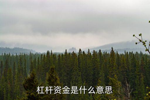 資金杠桿是什么意思，投資里面的杠桿是什么意思