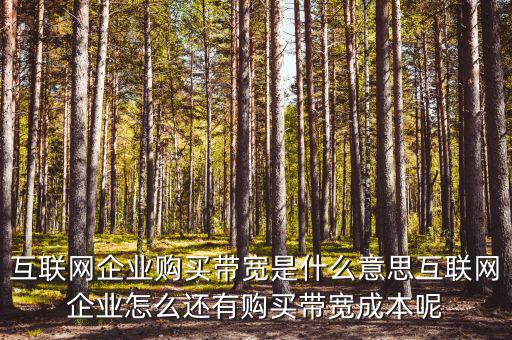 帶寬采購(gòu)是什么意思，請(qǐng)問帶寬出口批發(fā)是什么出口的定義是 麻煩幫幫忙
